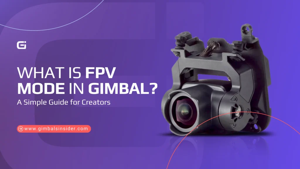 What Is FPV Mode in Gimbal